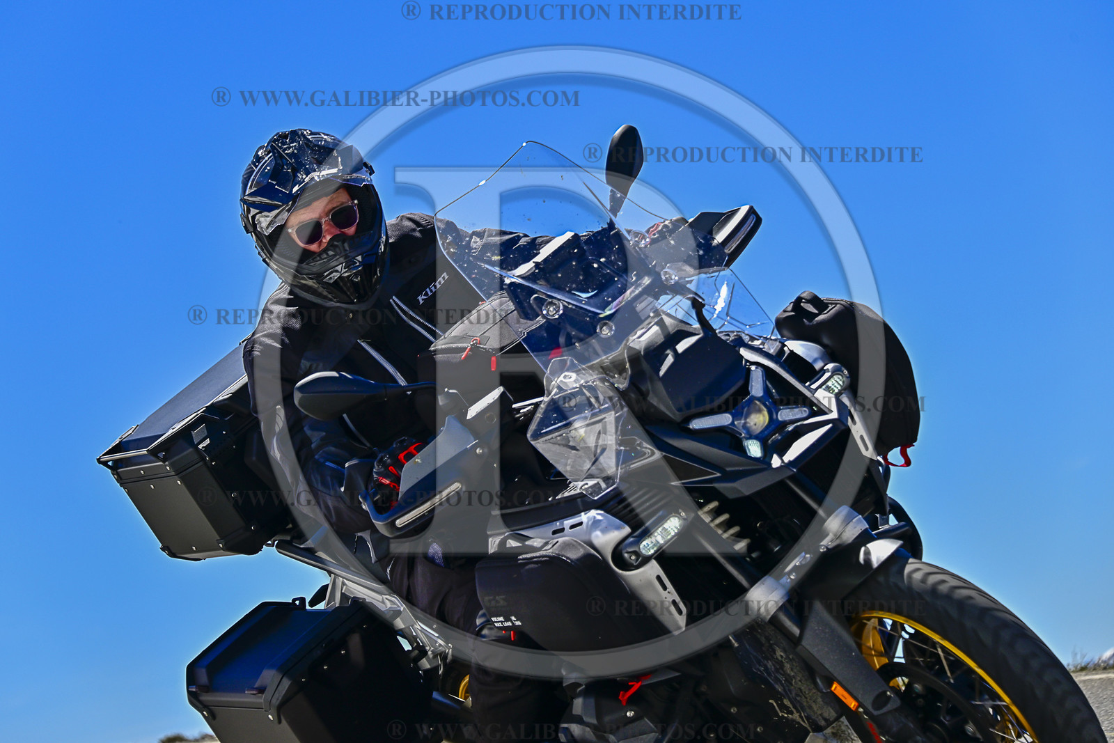 GAL03286